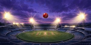 img-20260929f-cricket-dusk.jpg